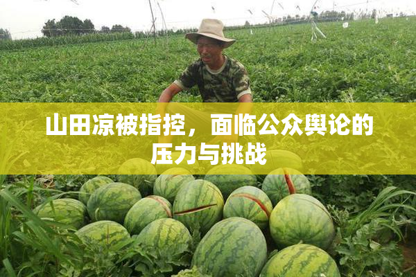 山田凉被指控，面临公众舆论的压力与挑战