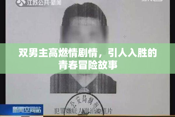 双男主高燃情剧情，引人入胜的青春冒险故事