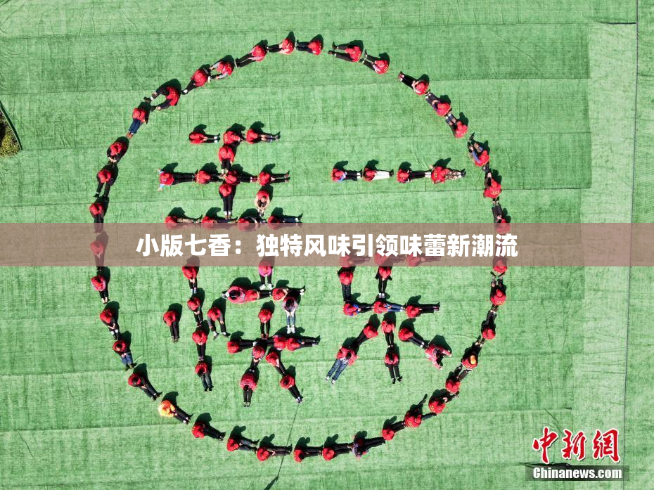 小版七香：独特风味引领味蕾新潮流