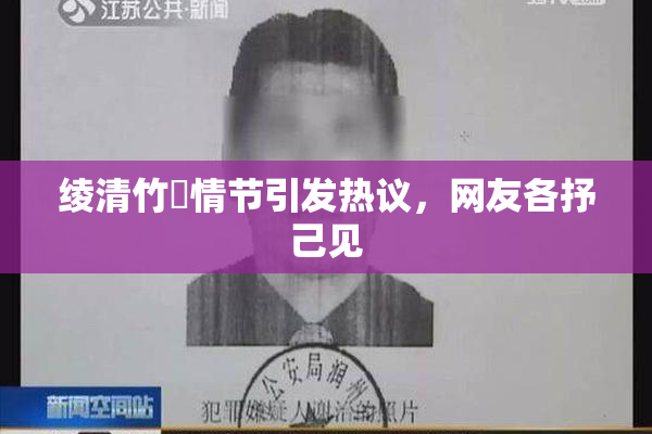 绫清竹婬情节引发热议，网友各抒己见