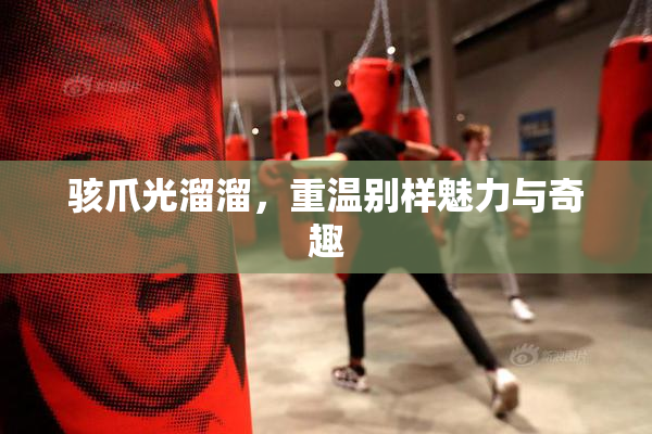 骇爪光溜溜，重温别样魅力与奇趣