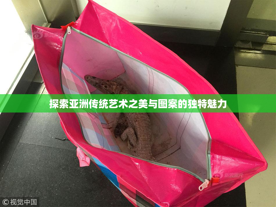 探索亚洲传统艺术之美与图案的独特魅力