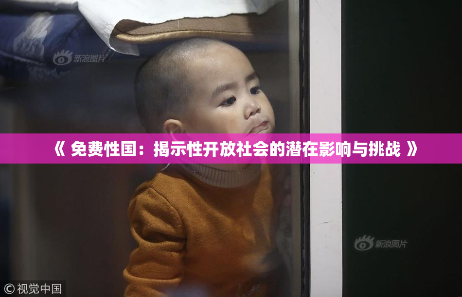 《 免费性国：揭示性开放社会的潜在影响与挑战 》