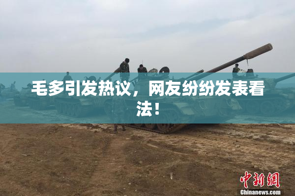 毛多引发热议，网友纷纷发表看法！