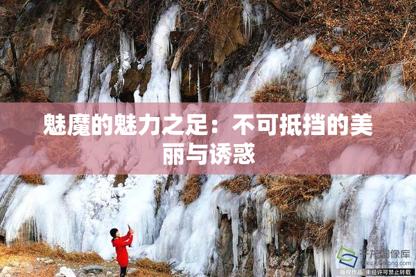 魅魔的魅力之足：不可抵挡的美丽与诱惑
