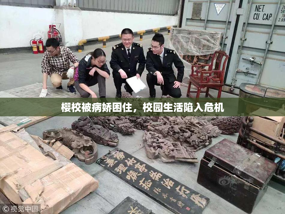 樱校被病娇困住，校园生活陷入危机