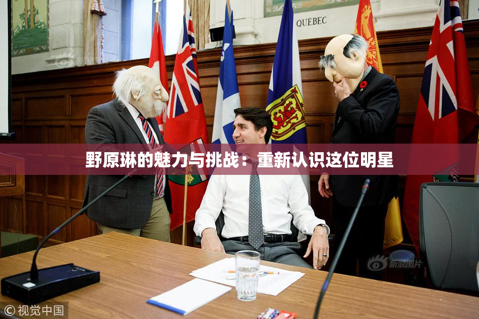 野原琳的魅力与挑战：重新认识这位明星