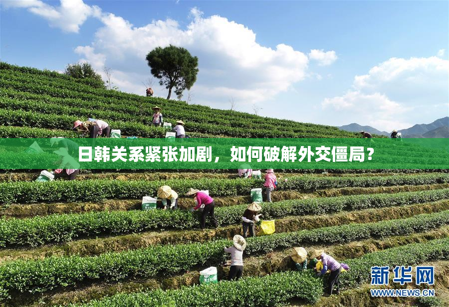 日韩关系紧张加剧，如何破解外交僵局？