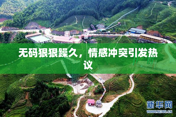 无码狠狠躁久，情感冲突引发热议