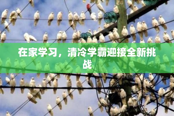在家学习，清冷学霸迎接全新挑战