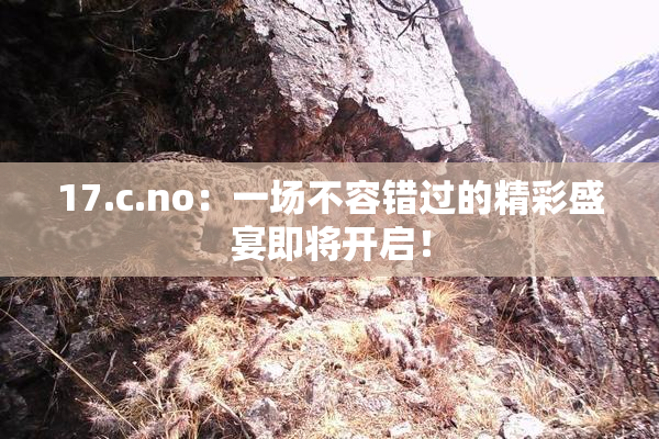 17.c.no：一场不容错过的精彩盛宴即将开启！