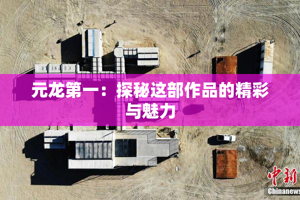 元龙第一：探秘这部作品的精彩与魅力