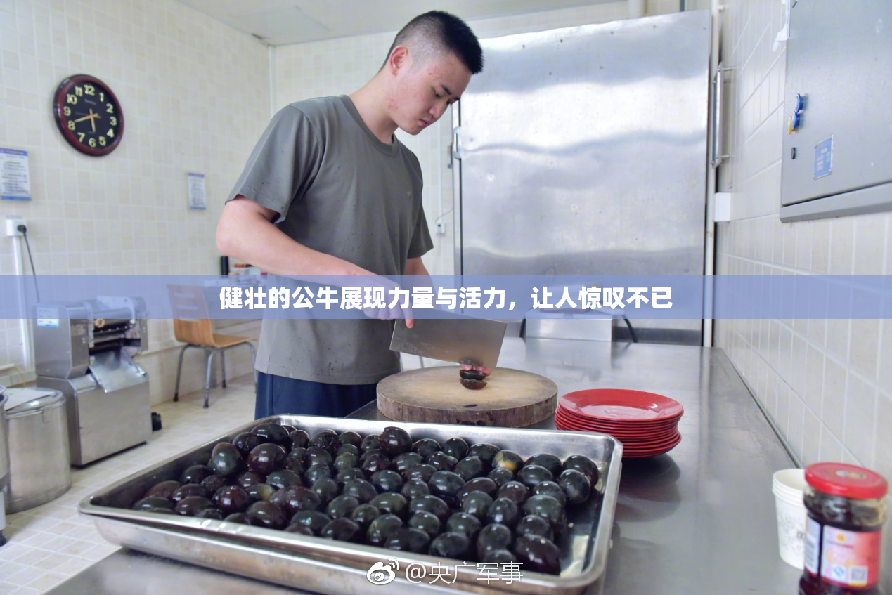 健壮的公牛展现力量与活力，让人惊叹不已
