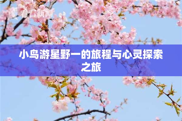 小鸟游星野一的旅程与心灵探索之旅