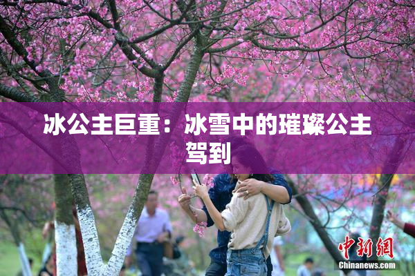 冰公主巨重：冰雪中的璀璨公主驾到