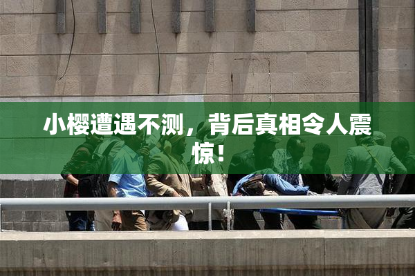 小樱遭遇不测，背后真相令人震惊！