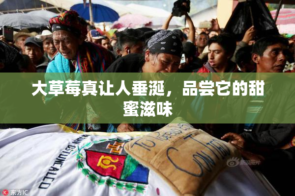大草莓真让人垂涎，品尝它的甜蜜滋味