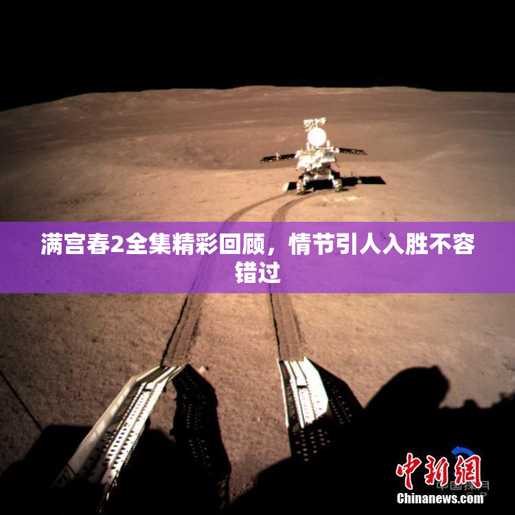 满宫春2全集精彩回顾，情节引人入胜不容错过