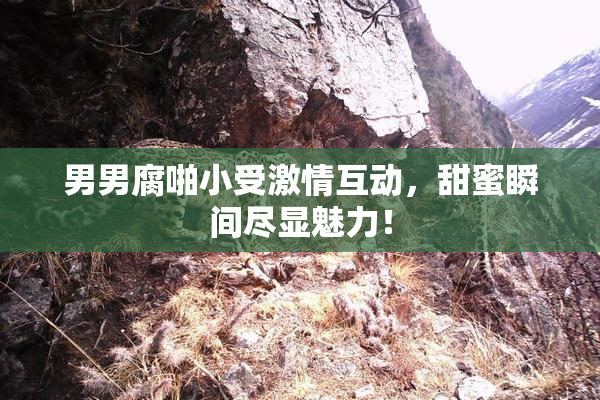 男男腐啪小受激情互动，甜蜜瞬间尽显魅力！
