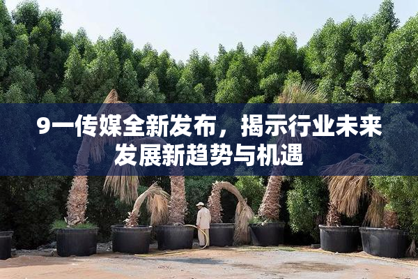 9一传媒全新发布，揭示行业未来发展新趋势与机遇