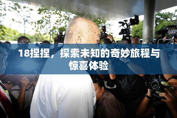 18捏捏，探索未知的奇妙旅程与惊喜体验