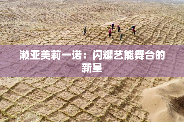 濑亚美莉一诺：闪耀艺能舞台的新星