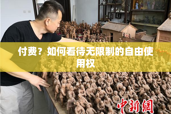 付费？如何看待无限制的自由使用权