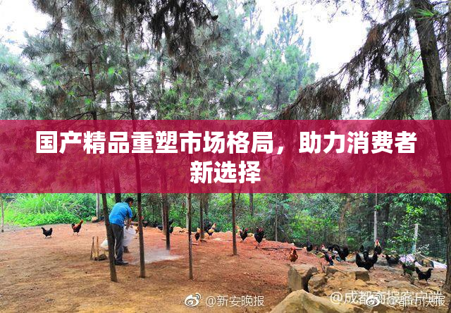 国产精品重塑市场格局，助力消费者新选择