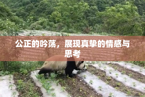 公正的吟荡，展现真挚的情感与思考