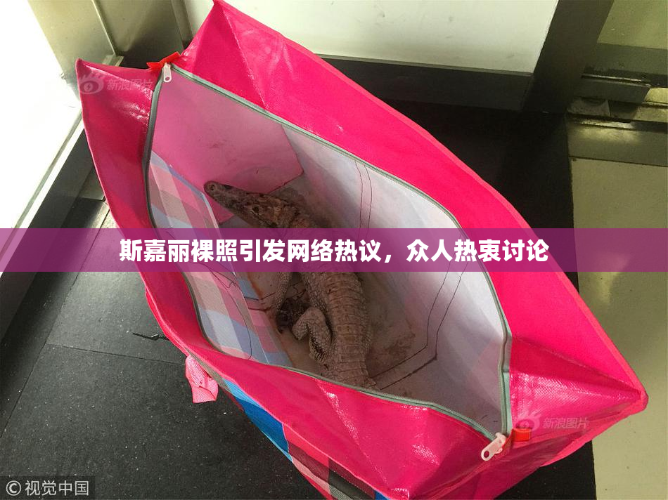 斯嘉丽裸照引发网络热议，众人热衷讨论