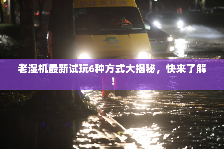老湿机最新试玩6种方式大揭秘，快来了解！