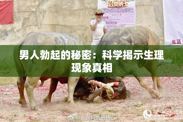 男人勃起的秘密：科学揭示生理现象真相