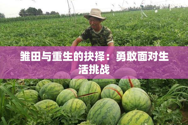 雏田与重生的抉择：勇敢面对生活挑战