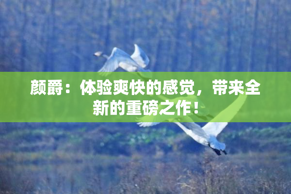 颜爵：体验爽快的感觉，带来全新的重磅之作！