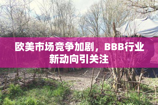 欧美市场竞争加剧，BBB行业新动向引关注