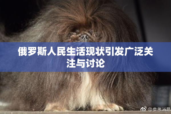 俄罗斯人民生活现状引发广泛关注与讨论