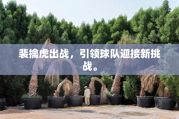 裴擒虎出战，引领球队迎接新挑战。
