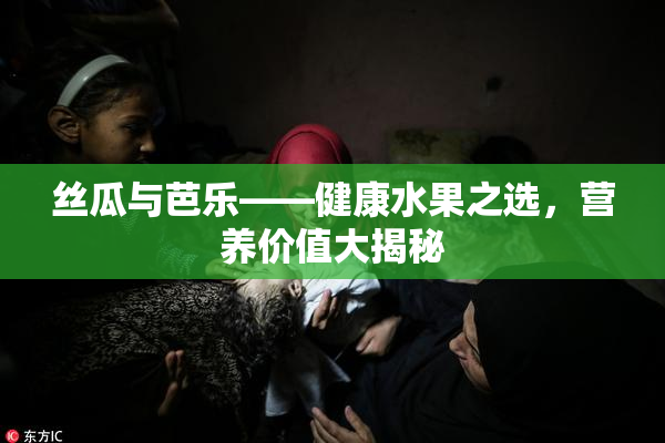 丝瓜与芭乐——健康水果之选，营养价值大揭秘
