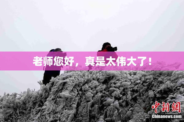 老师您好，真是太伟大了！