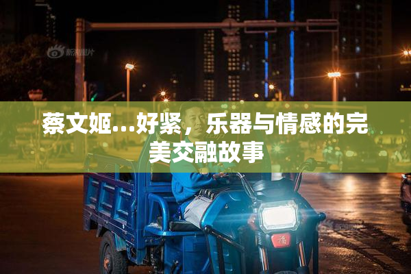蔡文姬…好紧，乐器与情感的完美交融故事