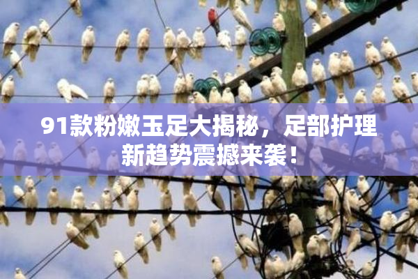 91款粉嫩玉足大揭秘，足部护理新趋势震撼来袭！