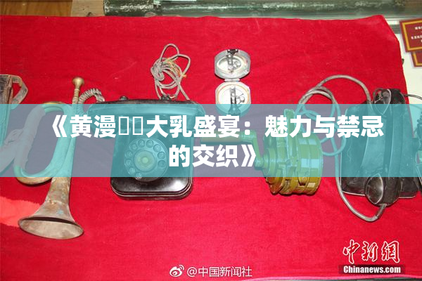 《黄漫❌‌大乳盛宴：魅力与禁忌的交织》