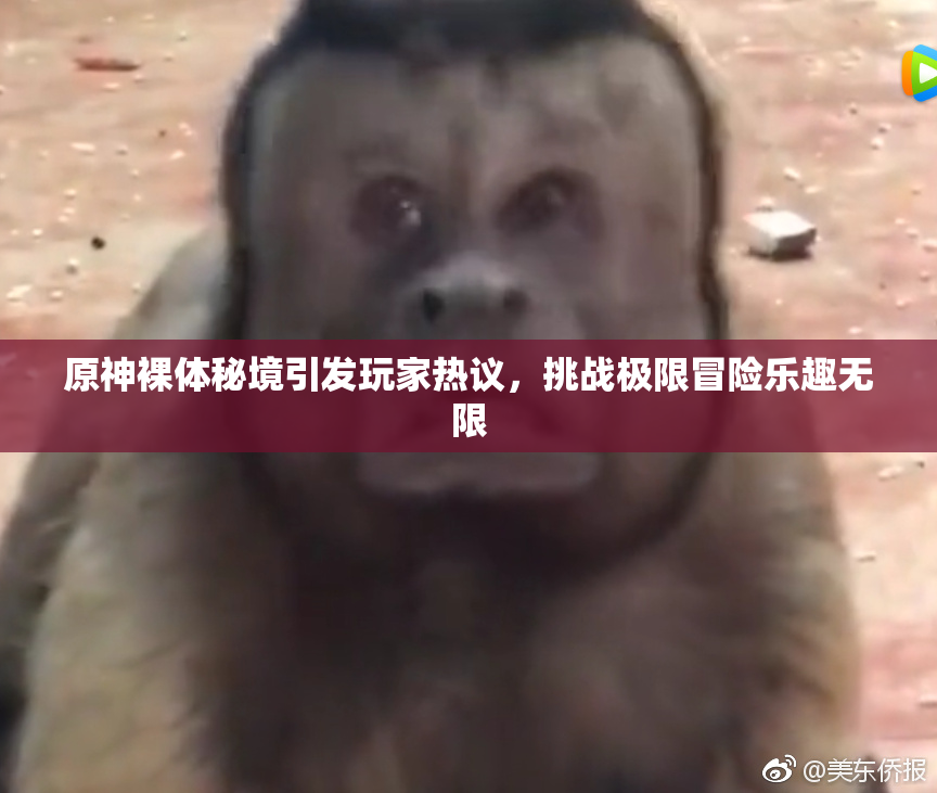 原神裸体秘境引发玩家热议，挑战极限冒险乐趣无限
