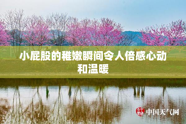 小屁股的稚嫩瞬间令人倍感心动和温暖