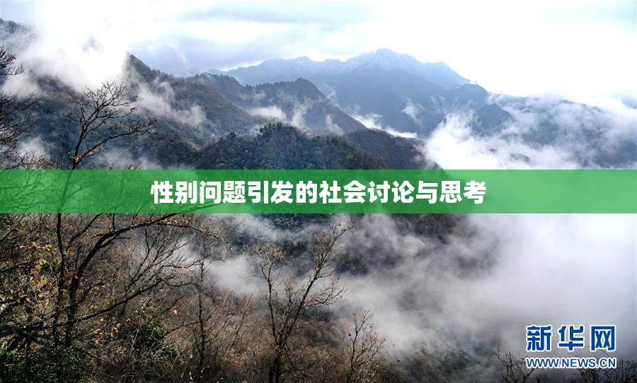 性别问题引发的社会讨论与思考