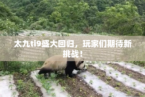 太九ti9盛大回归，玩家们期待新挑战！