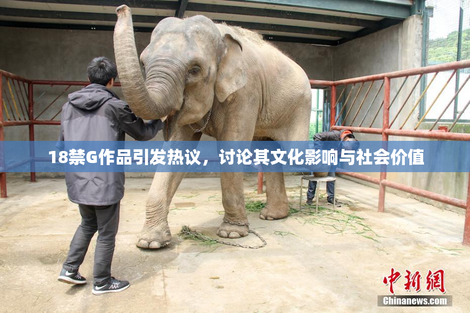 18禁G作品引发热议，讨论其文化影响与社会价值