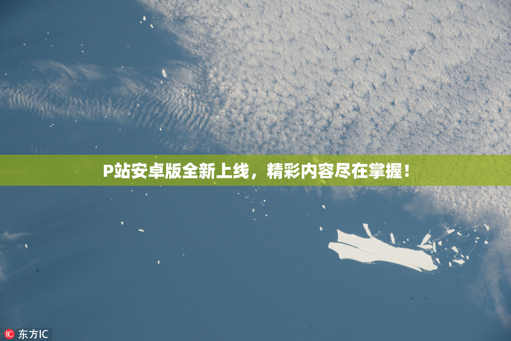P站安卓版全新上线，精彩内容尽在掌握！