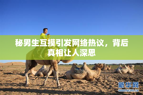 秘男生互摸引发网络热议，背后真相让人深思