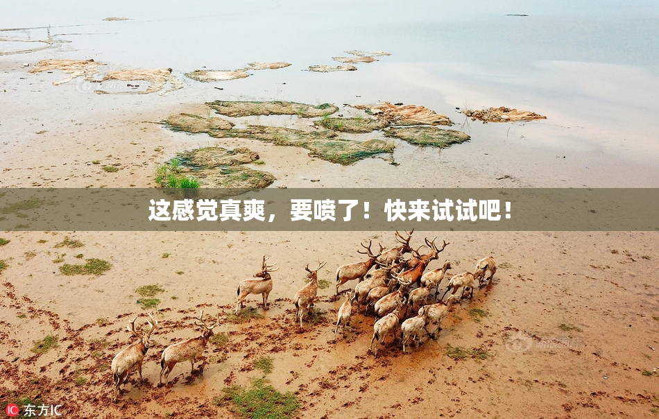 这感觉真爽，要喷了！快来试试吧！
